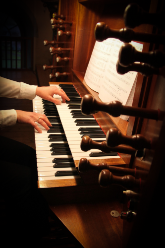 organ organ